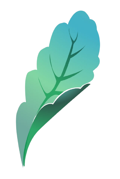 /images/leaf.png